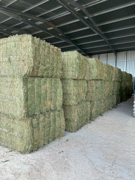 44mt Lucerne Hay 8x4x3 Bales