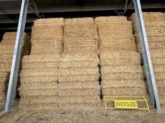 1000 mt Oaten Hay 24/25 Season