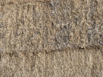 100mt Lentil Hay 650kg 8x4x3 Bales