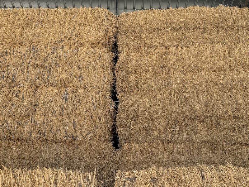 200mt Wheaten Hay 650kg 8x4x3 Bales