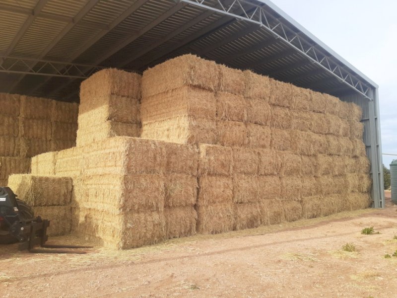 New Season  Barley Hay