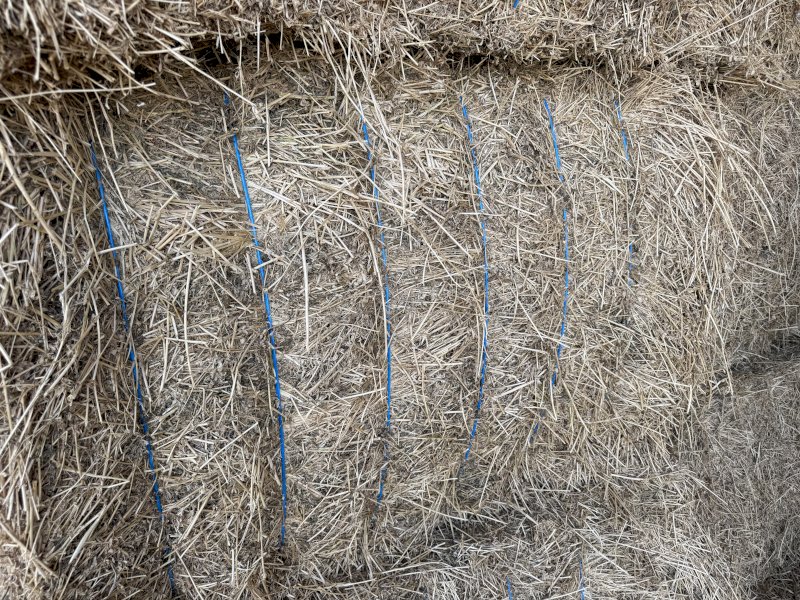 50mt Lucerne Hay 600kg 8x4x3 Bales