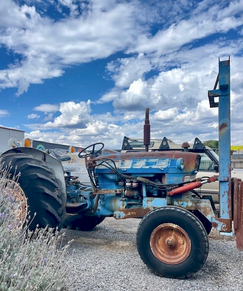 Ford 4000 Tractor with Forks