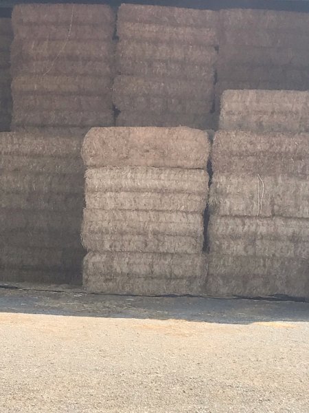 170mt Vetch Hay 630kg 8x4x3 Bales