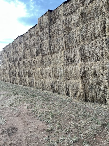 250mt Clover Hay 650kg 8x4x3 Bales