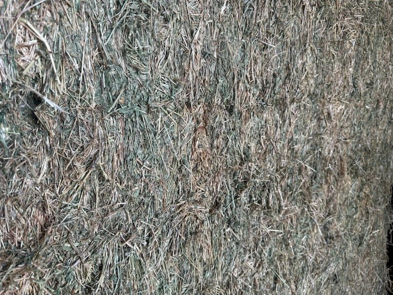 200mt Lucerne Hay 650kg 8x4x3 Bales