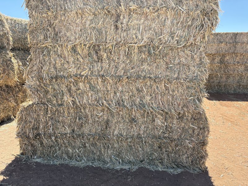430mt Sorghum Hay 8x4x3 HD Bales