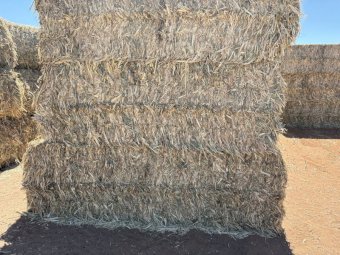 430mt Sorghum Hay 8x4x3 HD Bales