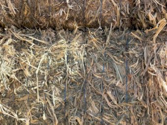 430mt Sorghum Hay 8x4x3 HD Bales