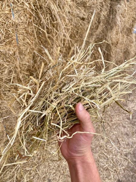 70mt Oaten Rye Hay 550kg 8x4x3 Bales