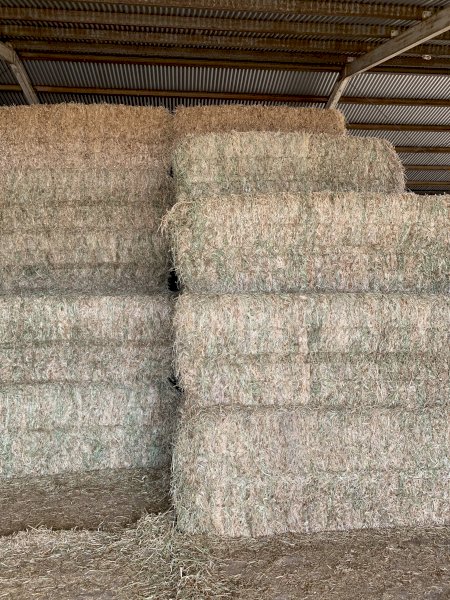 Clover and Rye Grass Hay