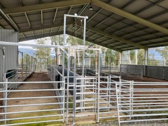 Semi permanent Goat,  Sheep/Calf rearing yards