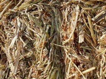 110mt Clover Hay 650kg 8x4x3 Bales