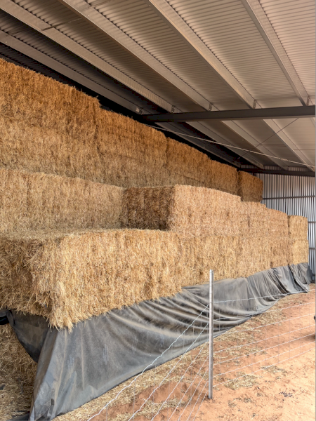64mt Clover Hay 500kg 8x4x3 Bales