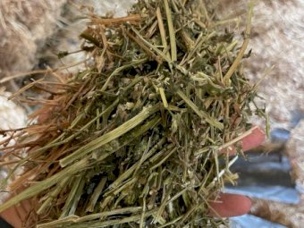 2024 Season Vetch Hay