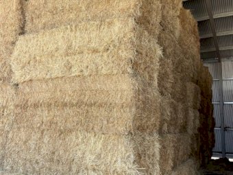 2024 Season Vetch Hay