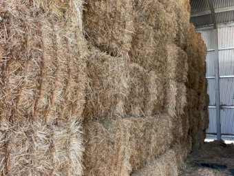 2024 Season Vetch Hay