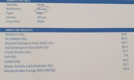 100mt Wheaten Hay 600kg 8x4x3 Bales