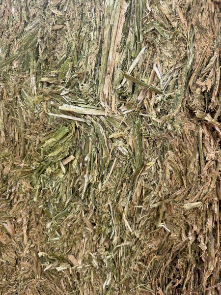 500mt Canola Hay 570-650kg 8x4x3 Bales