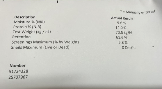 45mt Feed Barley