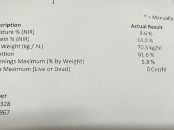 45mt Feed Barley