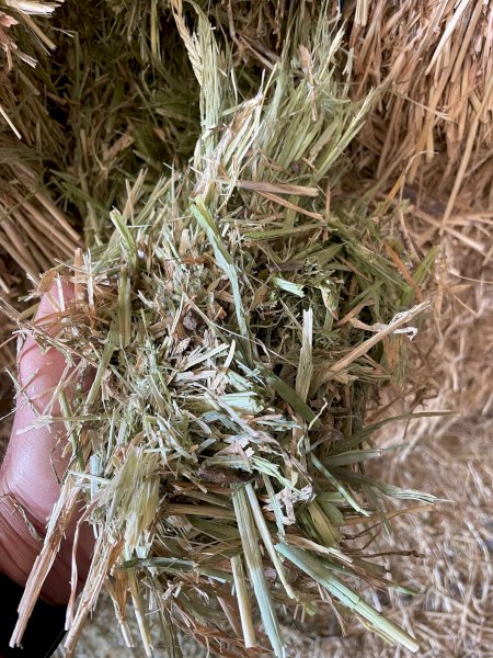 2024 Season Barley Hay
