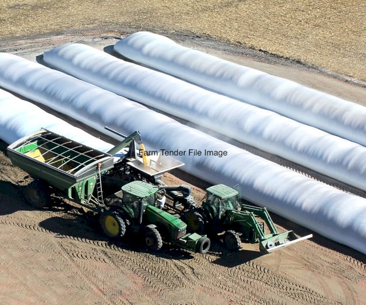 100 mt Feed Barley