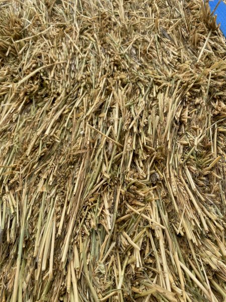80mt Wheaten Hay 700kg 8x4x3 Bales