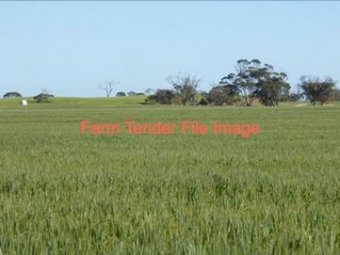WANTED 1000 acres Cropping Land for Lease