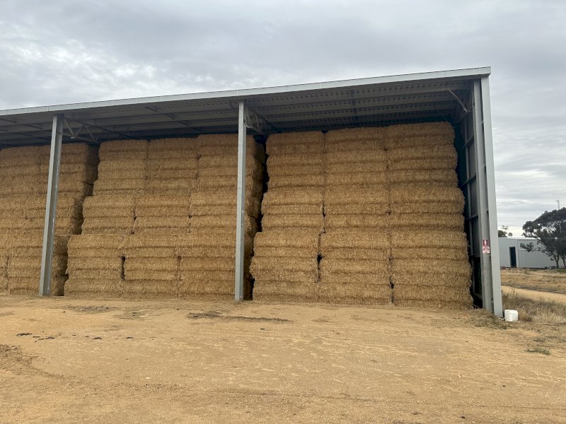 500 m/t 24 Season Barley Hay