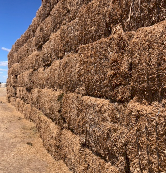 200mt Vetch Hay 600kg 8x4x3 Bales