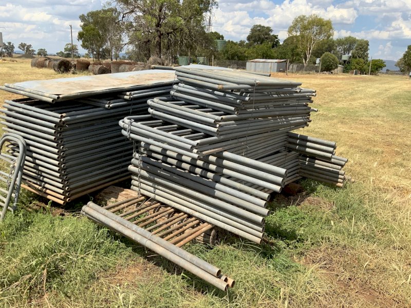 700 Head Cyclone Sheep Yards