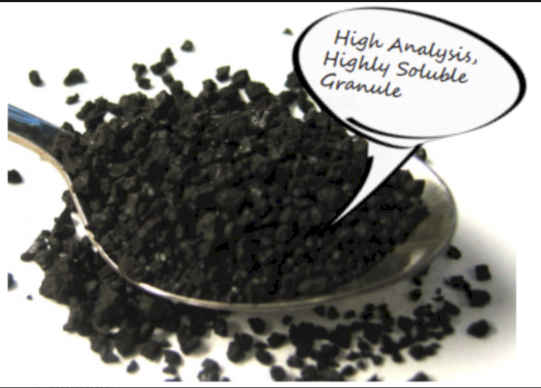BioMax Soluble Humate Granule
