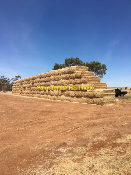 220mt Wheaten Hay 550-600kg 8x4x3 Bales