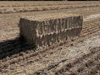 600mt Wheaten Straw 500kg 8x4x3 Bales (Windrowed)