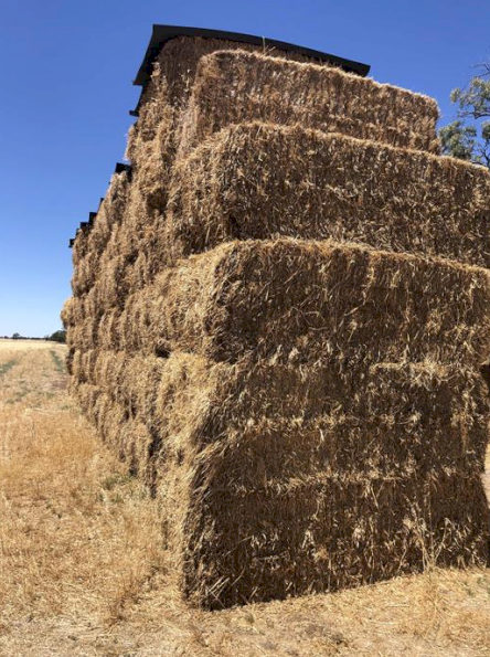 30mt Pasture Hay 500kg 8x4x3 Bales