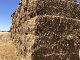 30mt Pasture Hay 500kg 8x4x3 Bales