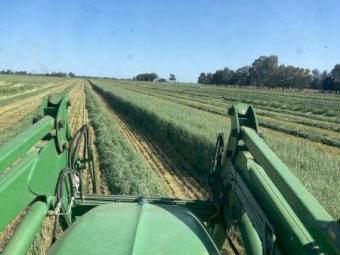 70 mt Oaten Hay