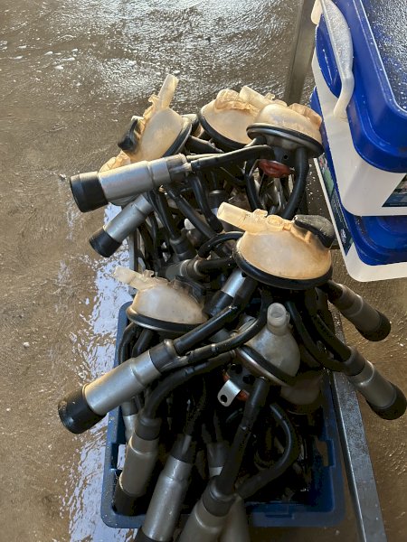 40 sets of Milfos Cups