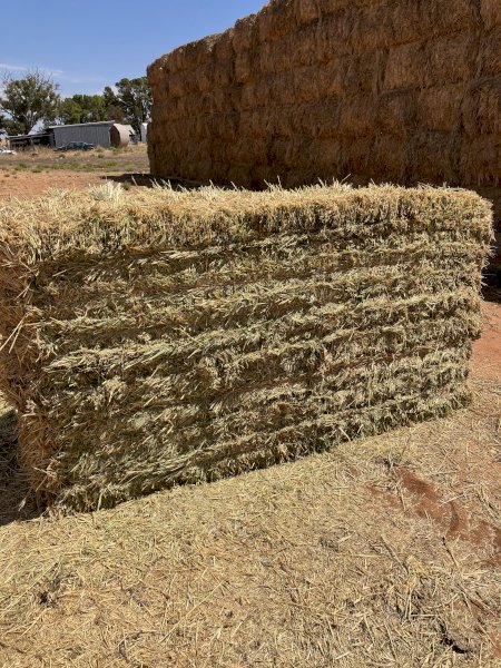 330mt Barley Hay 660kg 8x4x3 Bales