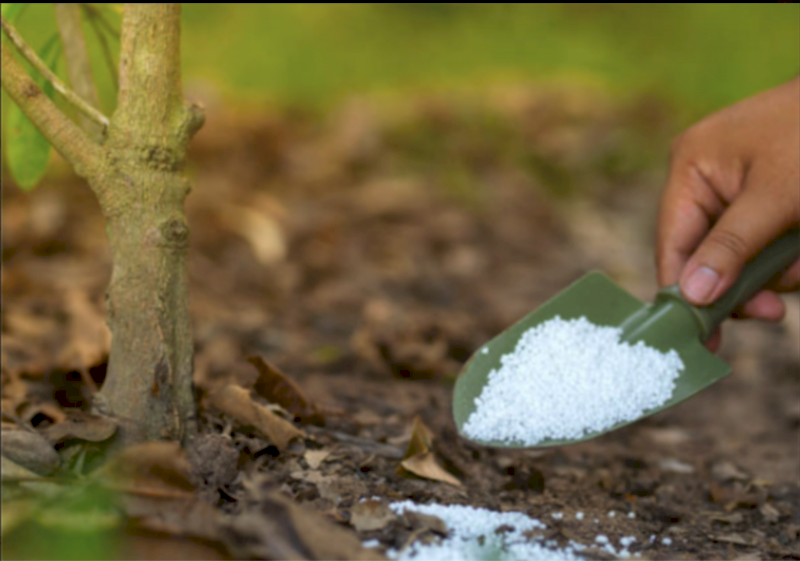 Urea Ex Brisbane - available now