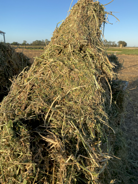 2023 Season A1 Vetch Hay