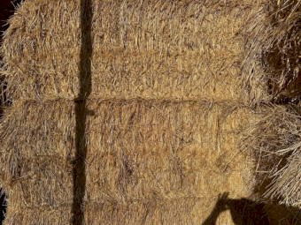 300mt Wheaten Hay 600kg 8x4x3 Bales
