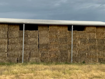 300mt Wheaten Hay 600kg 8x4x3 Bales