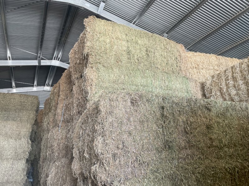 40mt Vetch Hay 580-600kg 8x4x3 Bales