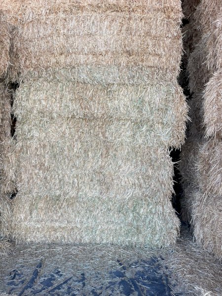 24 Season Oaten Hay