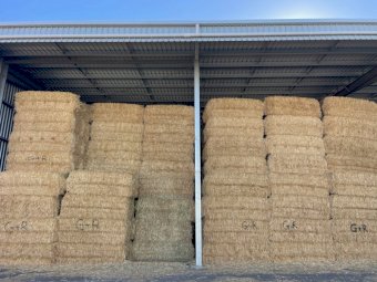 24 Season Oaten Hay