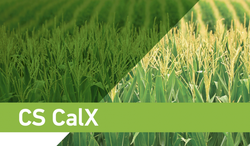 CS Calx