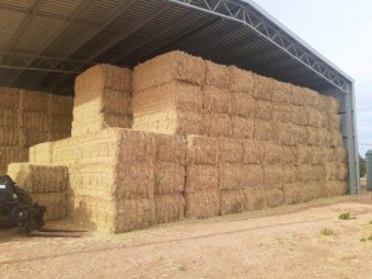 A1 Wheaten Hay