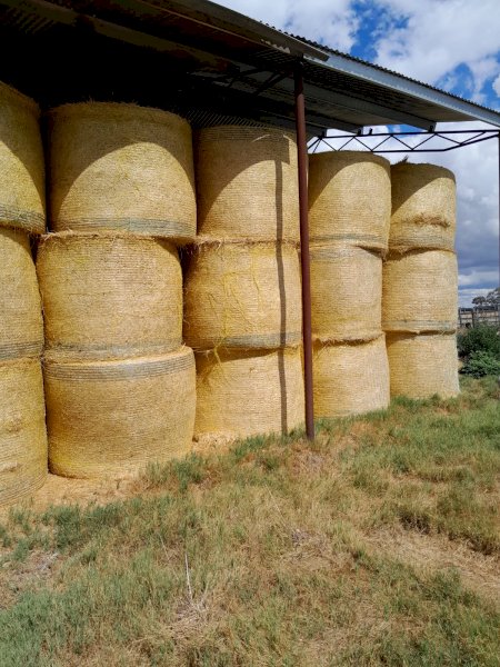 24 Season Clover and Rye Grass Round Bales